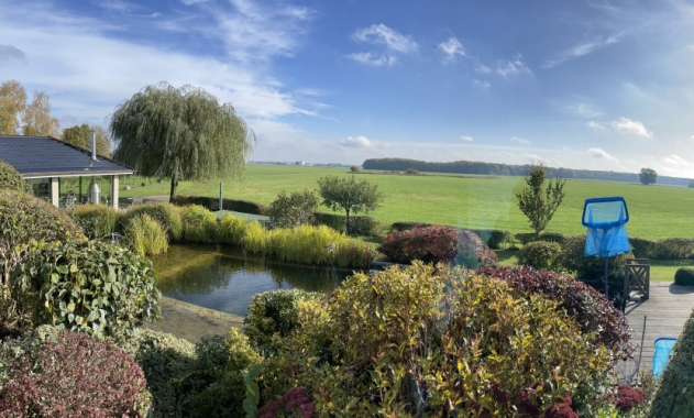 Laub rechen & mehr: So machen Sie Ihren Garten winterfit - Elbe-Haus®