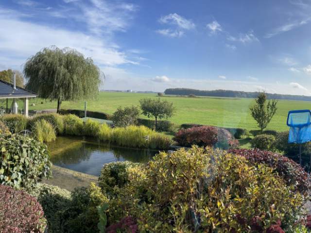 Elbe-Haus®  Gartentipps: Den Garten im Herbst winterfest machen