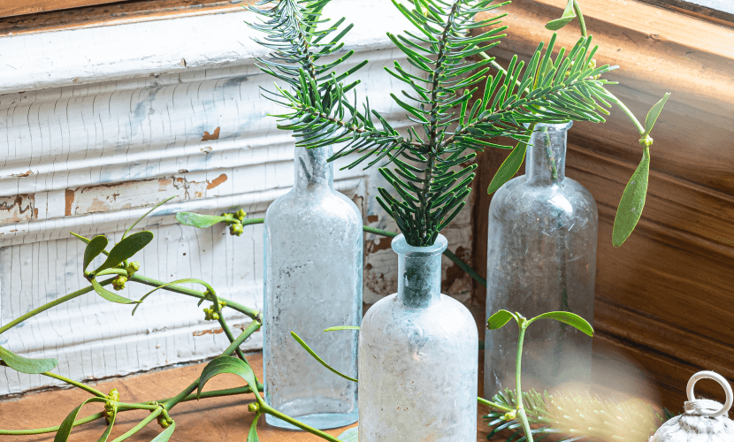 Zweige bringen Weihnachten ins Haus - Elbe-Haus®